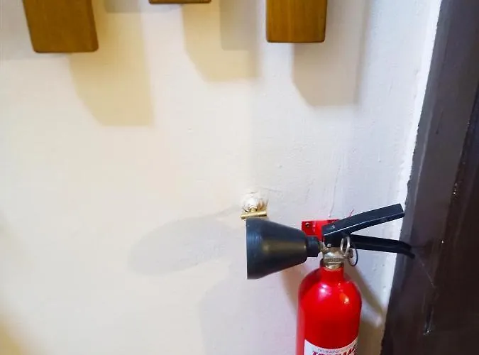 в центъра на