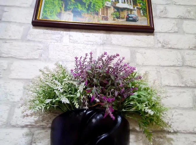 в центъра на София